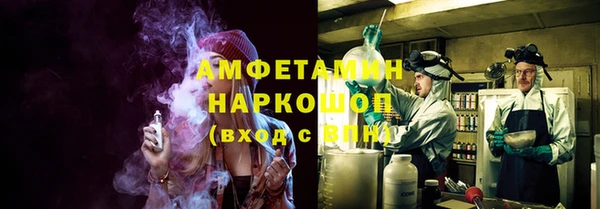 прущие грибы Алзамай