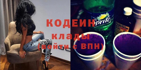 прущие грибы Алзамай