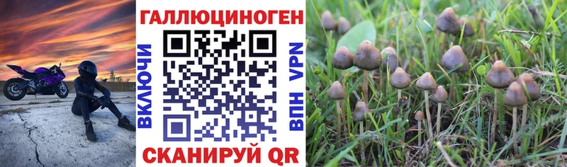 даркнет сайт  Вихоревка  Галлюциногенные грибы Cubensis 